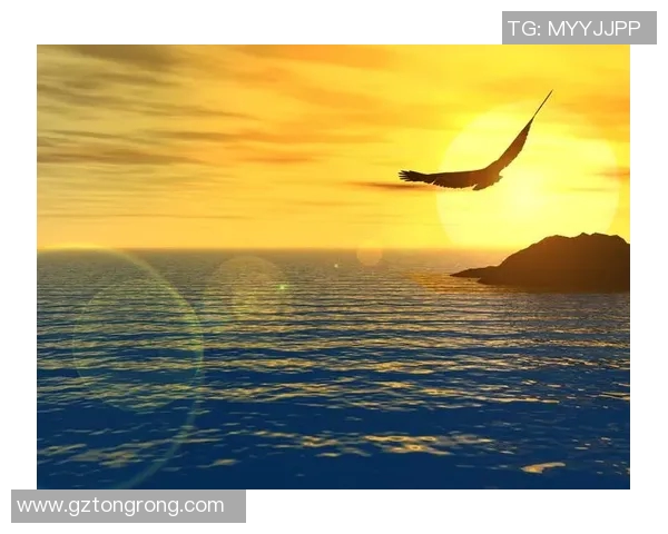 恩佐的成长之路：从梦想起航到实现自我价值的探索与奋斗